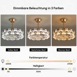 Homary Lamp with Fan - Living Room Ceiling Fan With LED Light - Modern Ceiling Fan Light - thumbnail 3