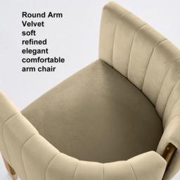 Velvet Fluted Upholstered Accent Chair with Wood Frame - thumbnail 9