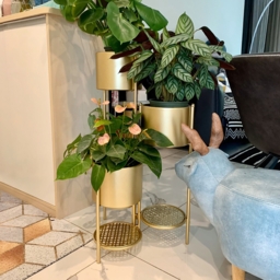 800mm Tall Metal Plant Stand Indoor Modern 3 Tier Corner Planter in Gold - thumbnail 7