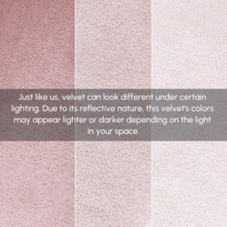 Set of 8 Velvet Dining Chairs Upholstered Modern Pink Dining Room Chairs with Arm - thumbnail 9