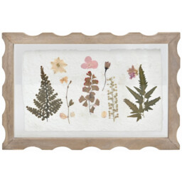 Botanical Dried Flowers Scalloped Art White