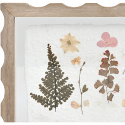 Botanical Dried Flowers Scalloped Art White - thumbnail 2