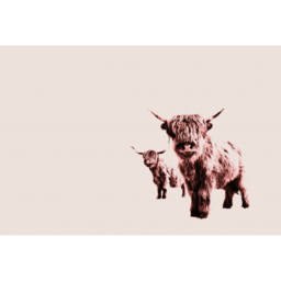 A.S Creation Highland Cows Digital Mural - thumbnail 2