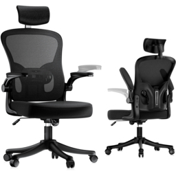 Rattrix Mesh Black Height Adjustable Ergonomic Office Chair with Flip-Up Arms and Lumbar Support - thumbnail 2
