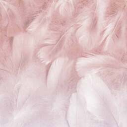 Grandeco Feathers 3 Lane Wall Mural - thumbnail 2