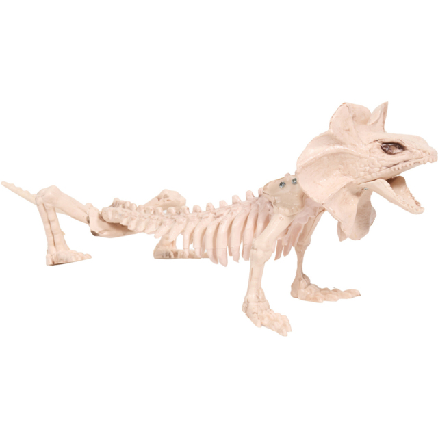 Skeleton Lizard Decoration Neutral - image 1