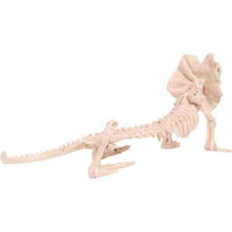 Skeleton Lizard Decoration Neutral - thumbnail 3