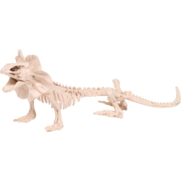 Skeleton Lizard Decoration Neutral - thumbnail 2