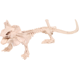Skeleton Lizard Decoration Neutral - thumbnail 4