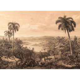 A.S Creation Jungle Vintage 2 Digital Mural - thumbnail 2