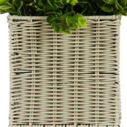 Petunia and Lavender in Rattan Pot 40cm - thumbnail 4