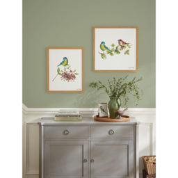 Laura Ashley Blue Tit Bird Wooden Frame Wall Art 40 x 50cm - thumbnail 2