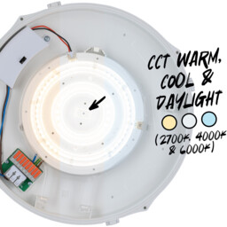 TCP IP65 TCP Bulkhead Light - White - thumbnail 4