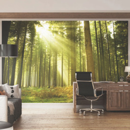 Origin Murals Spruce Forest Green Wall Mural