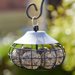 Decorative Wild Bird Fat Ball Feeder - thumbnail 4