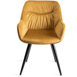 Bentley Designs Dali Mustard Velvet Fabric Upholstered Chair Set of 2 - thumbnail 3