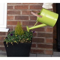 St Helens Cream Metal Watering Can with Sprinkler Nozzle 4.5L - thumbnail 2