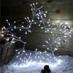 Samuel Alexander Silver Star LED Outdoor Christmas Decoration 60cm