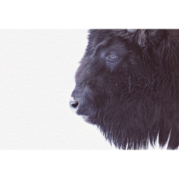 A.S Creation Black Buffalo Digital Mural - thumbnail 2