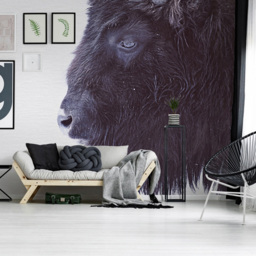 A.S Creation Black Buffalo Digital Mural