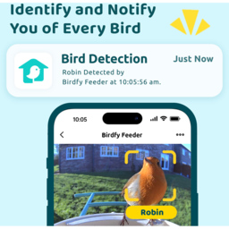 Birdfy Smart Solar Bird Feeder with 1080p HD AI Camera - thumbnail 3