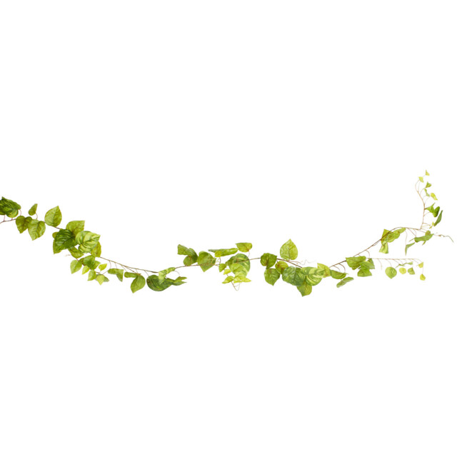 Green Pothos Garland 213cm - image 1