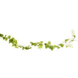 Green Pothos Garland 213cm - thumbnail 1