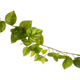 Green Pothos Garland 213cm - thumbnail 4