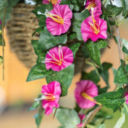 Marco Paul Purple Hanging Basket - thumbnail 3