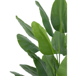Leaf Traveller Palm Artificial Tree Pot 200cm - thumbnail 2