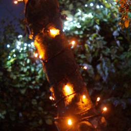 Eagle Connect Warm White 80 LED String Light 10m - thumbnail 3