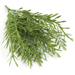 Leaf Green Grass Fire Resistant Artificial Foliage Plant Stem 40cm 6 Pack - thumbnail 3