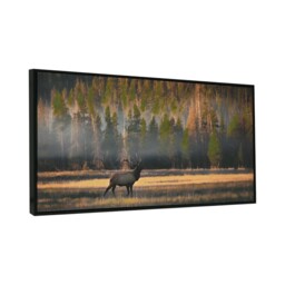 Riverland Moose Hand Painted Canvas Brown - thumbnail 3