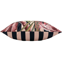 Evans Lichfield Multicolour Toucan and Peacock Polyester Filled Cushion - thumbnail 3