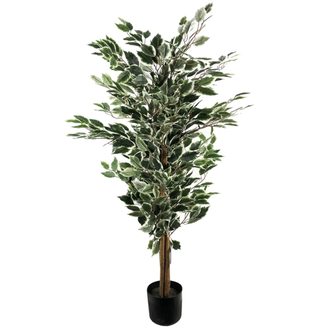 Leaf Artificial White and Green Tall Variegated Bushy Ficus Tree in Pot 130cm - image 1