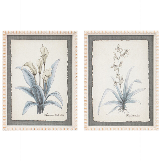 Single Flower Hand Sketch Effect Framed Wall Art in Assorted Styles 40 x 30cm - image 1