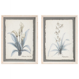 Single Flower Hand Sketch Effect Framed Wall Art in Assorted Styles 40 x 30cm - thumbnail 1