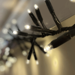 Eagle Connect Cool White 250 LED Cluster Light 5m - thumbnail 3