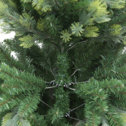 Hampton Fir Tree Green - thumbnail 3
