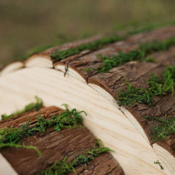 Marco Paul Hedgehog House with Moss - thumbnail 4