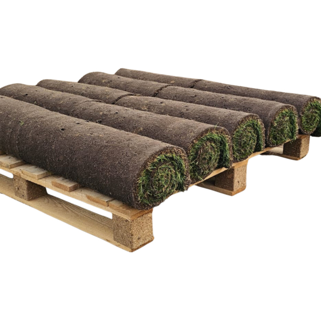 Inturf Classic Turf Roll 10sqm - image 1