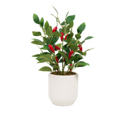 Potted Faux Chilli Plant - thumbnail 2