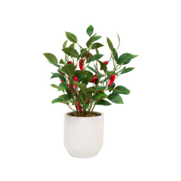 Potted Faux Chilli Plant - thumbnail 3