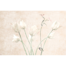 A.S Creation Morning Room 3 Digital Mural - thumbnail 2