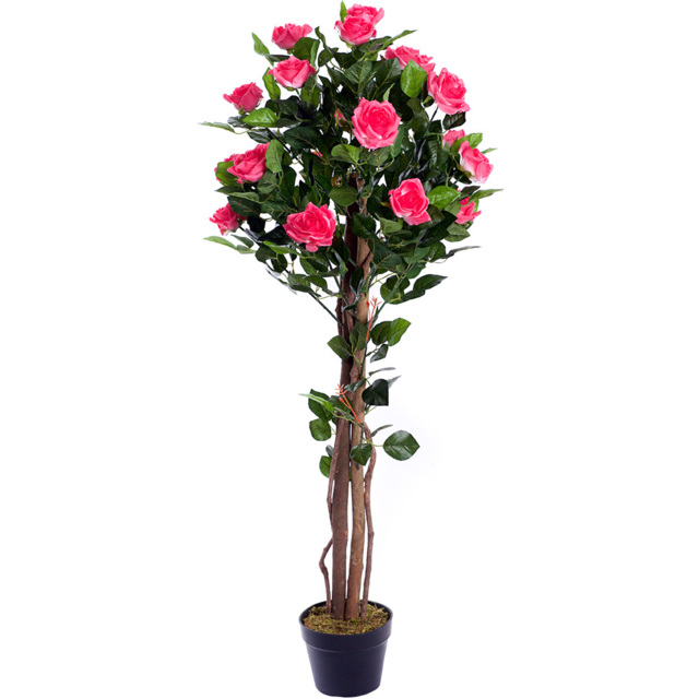 4ft Pink Rose Plant - image 1
