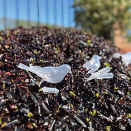 Gardenkraft Solar Acrylic Birds String Lights 10 Pack - thumbnail 3
