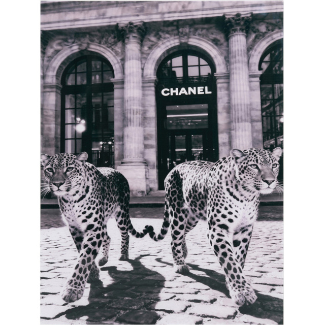 Monochrome Leopards Tempered Glass Art - image 1