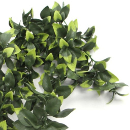 Leaf Pothos Hanging UV and Fire Resistant Artificial Plant 71cm 6 Pack - thumbnail 3