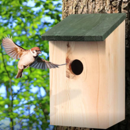 Marco Paul Wooden Traditional Bird House 4 Pack - thumbnail 2