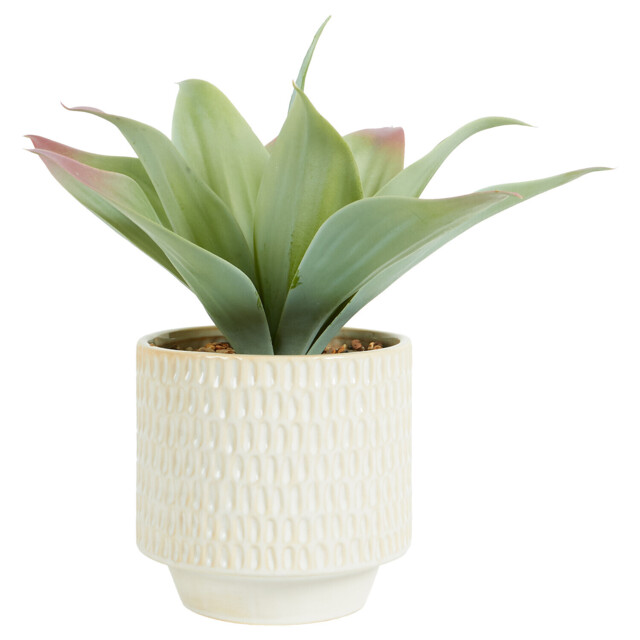 Faux Agave Plant in Dimpled Pot - Green - image 1